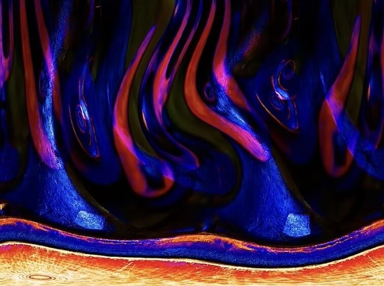 大矢信吾「A Duality Between Photography and 2D Modern Art」